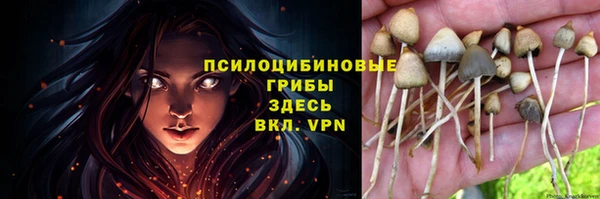 стаф Белокуриха