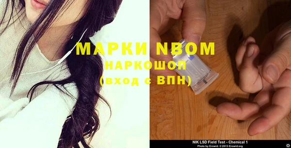 стаф Белокуриха